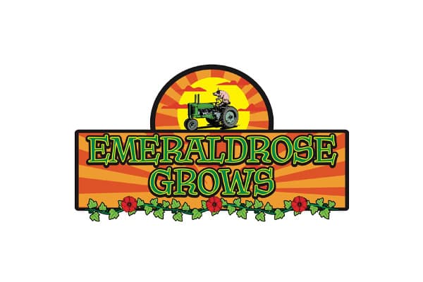 Emerald Rose Grows